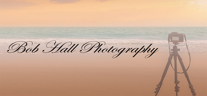 Bob Photos